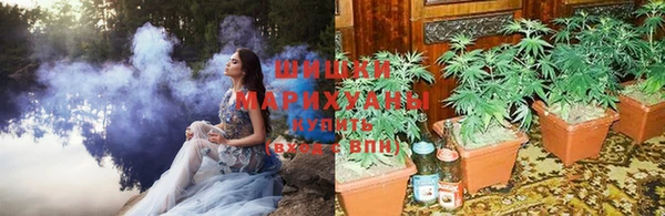 молекула духа Чердынь