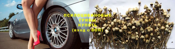 Альфа ПВП Мурманск