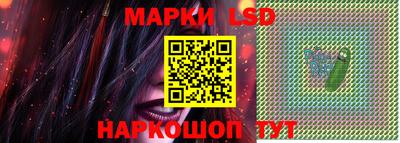 стафф Гатчина