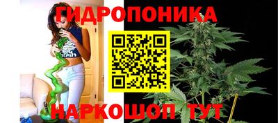 гашик Абинск