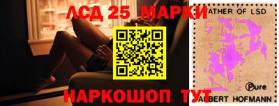 стафф Гатчина