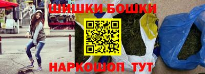 стафф Гатчина