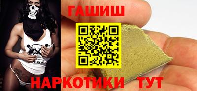 стафф Гатчина