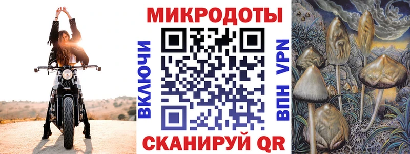 Галлюциногенные грибы мицелий  mega ССЫЛКА  Ангарск 