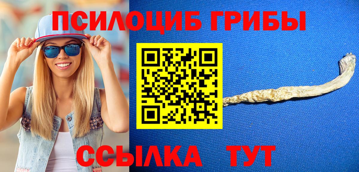 цены   Ангарск  Галлюциногенные грибы Psilocybe  Галлюциногенные грибы Psilocybine cubensis 