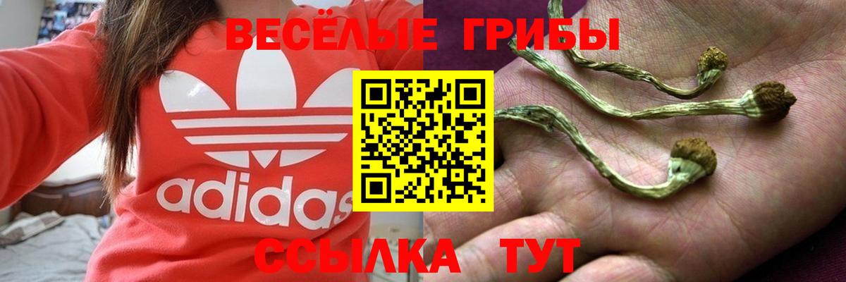Галлюциногенные грибы Magic Shrooms  Вход с VPN  где продают   Ангарск  Псилоцибиновые грибы MAGIC MUSHROOMS 