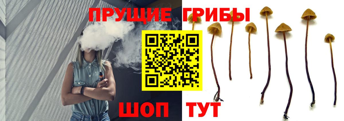 Ангарск  Псилоцибиновые грибы Magic Shrooms  Галлюциногенные грибы GOLDEN TEACHER  Вход с VPN 